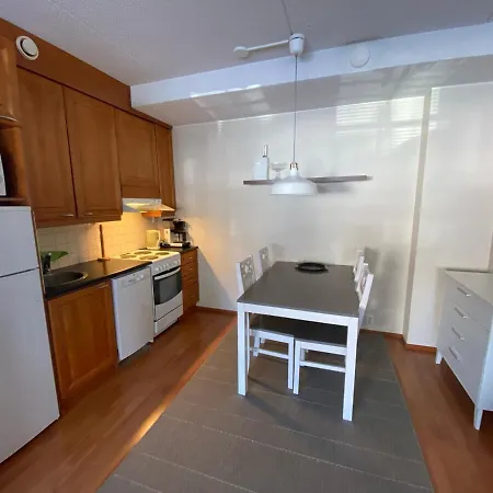 Levin Alppi Apartment Levi