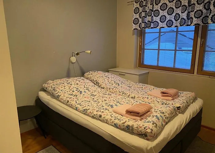 Διαμέρισμα Levin Alppi Levi