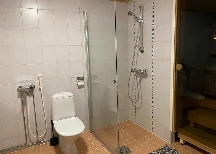 Levin Alppi Διαμέρισμα *