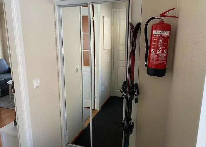 Διαμέρισμα Levin Alppi *